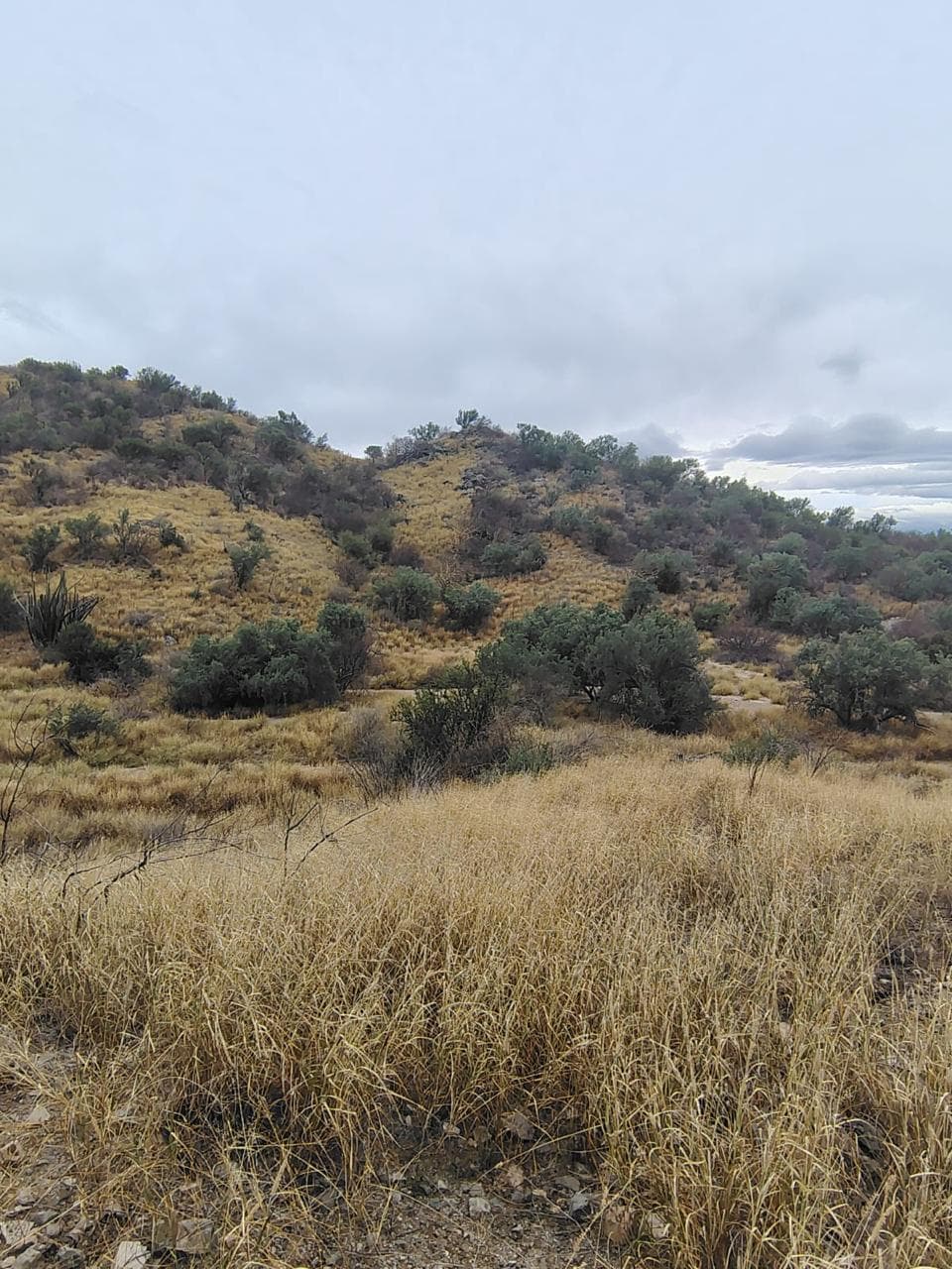 Descubre Sonora y Arizona